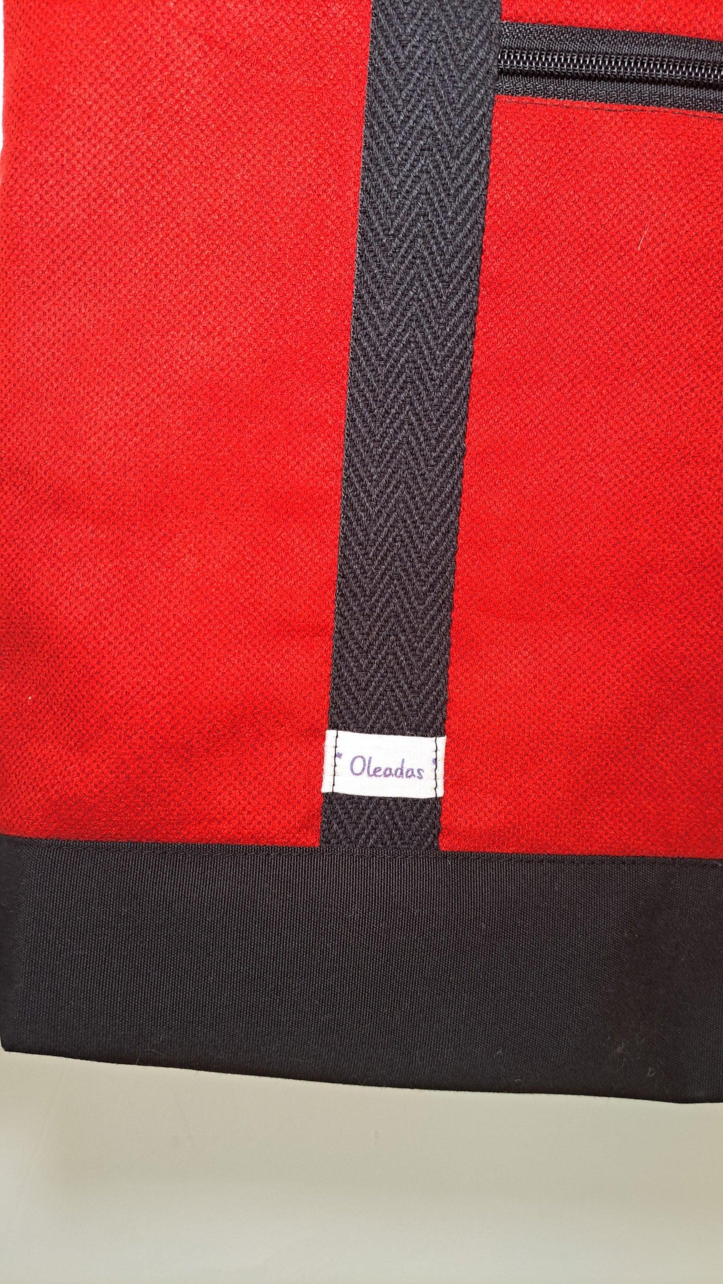 Mochila Traveler Udaipur